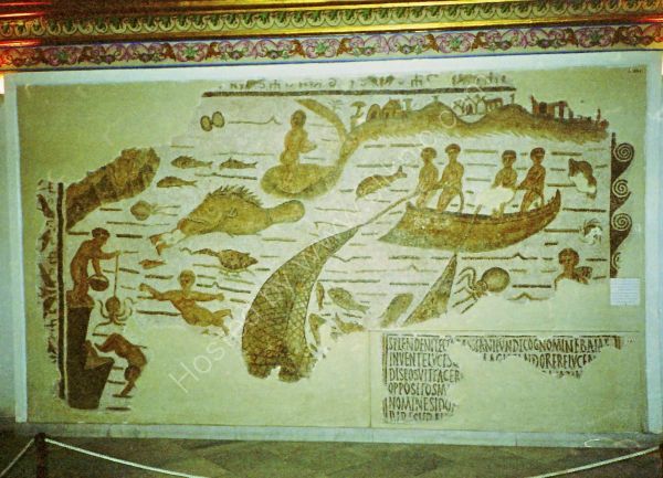 Roman Mosaic, Carthage